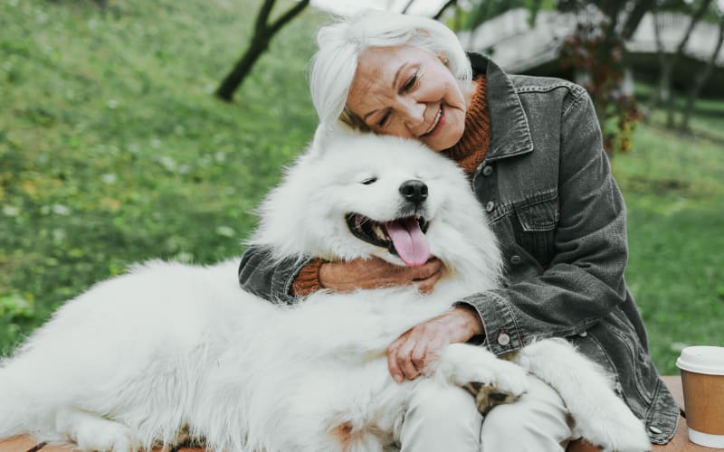 Geriatric Care for Pets, Stephenville